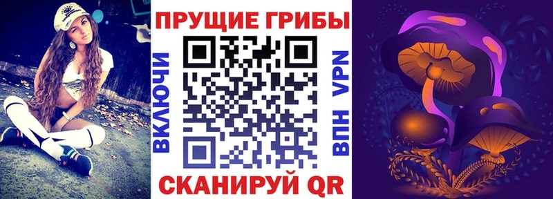 это состав Алапаевск Галлюциногенные грибы Cubensis